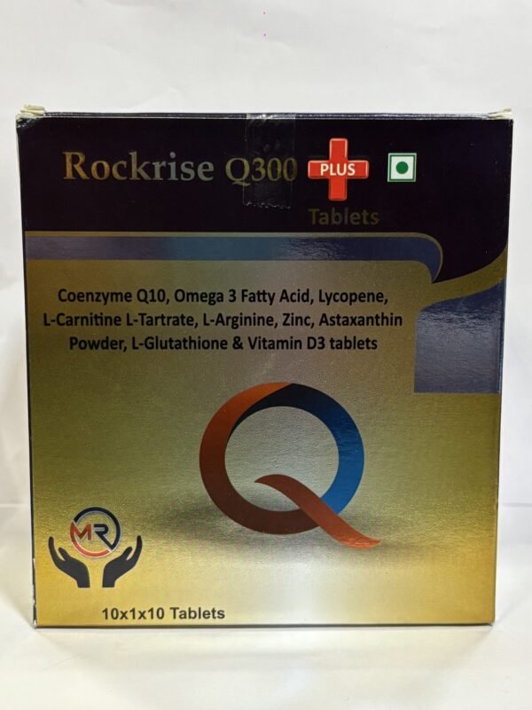 Rockrise Q300 - Image 2